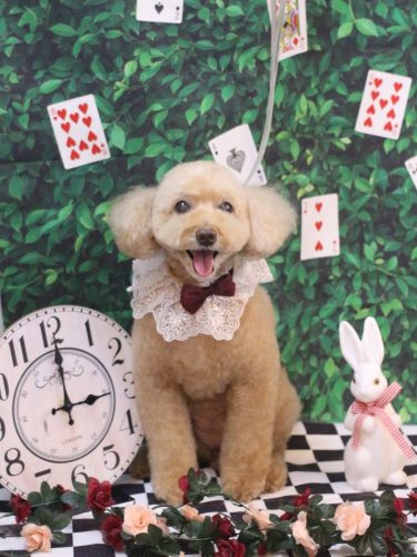 20250424モンチちゃん